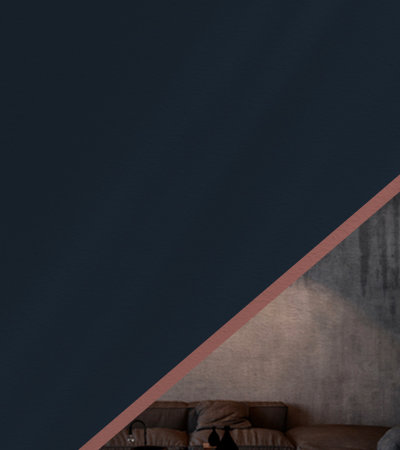 2020_11_06_DIST_SITE_BANNER_NOVACOR_400X500 ACM